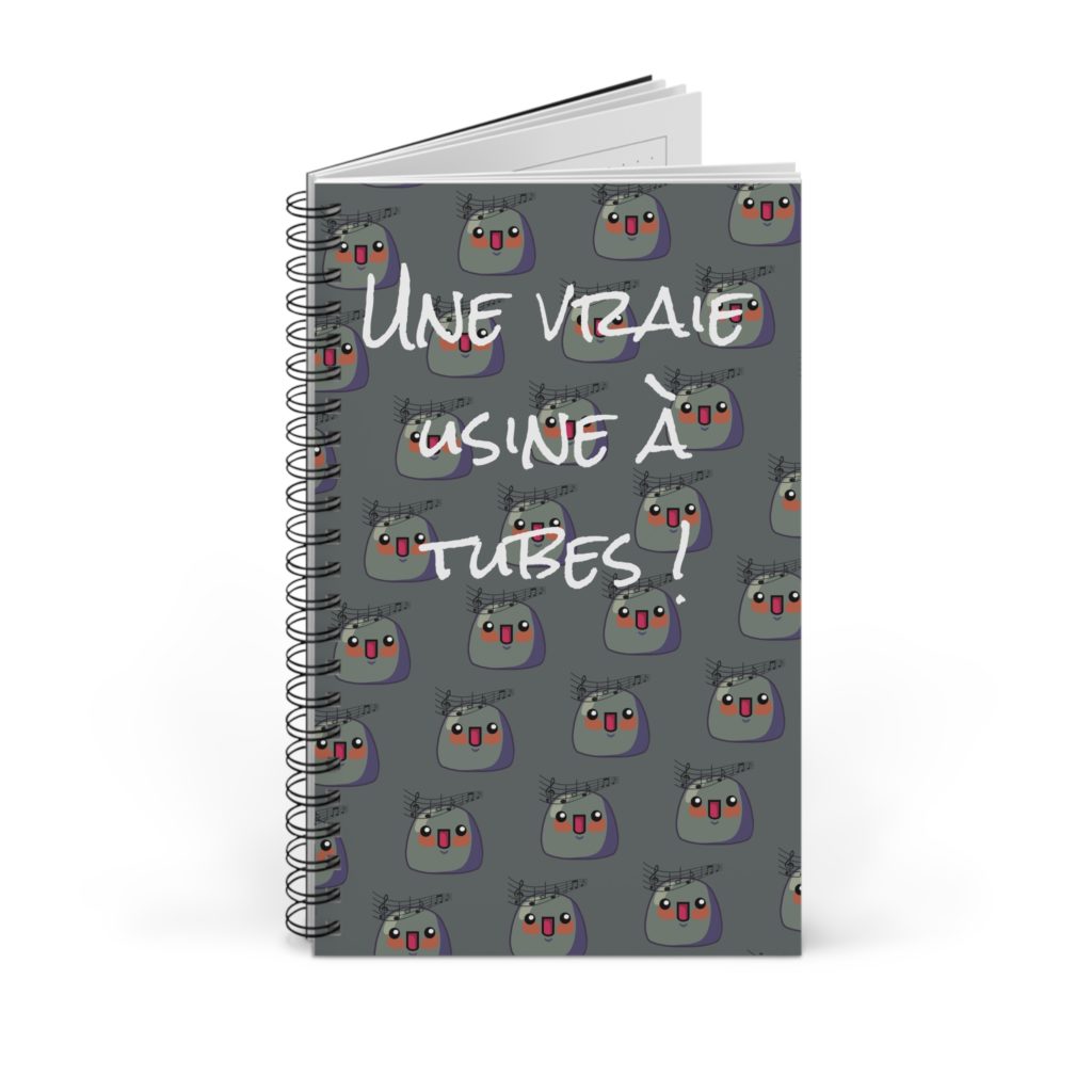 Carnet "Une vraie usine à tubes !" avec pattern de Kyous musicaux et portée musicale