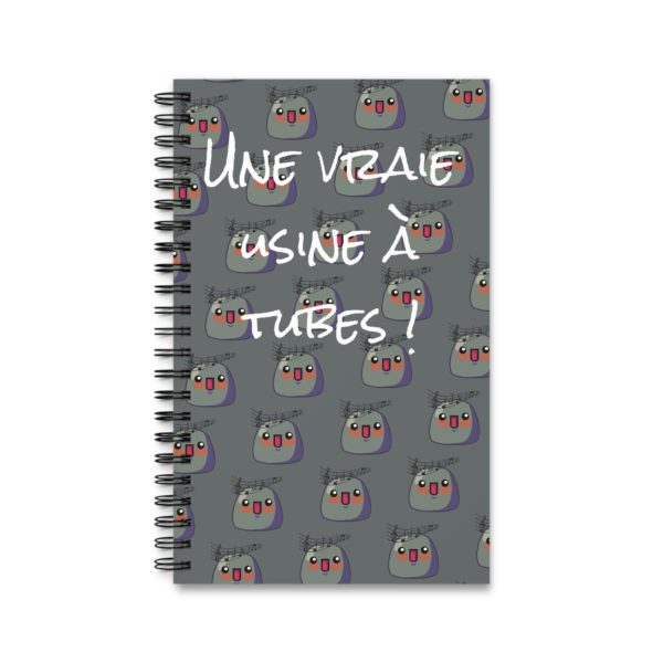 Carnet "Une vraie usine à tubes !" – Pour noter tes plus grands hits ! – Image 2